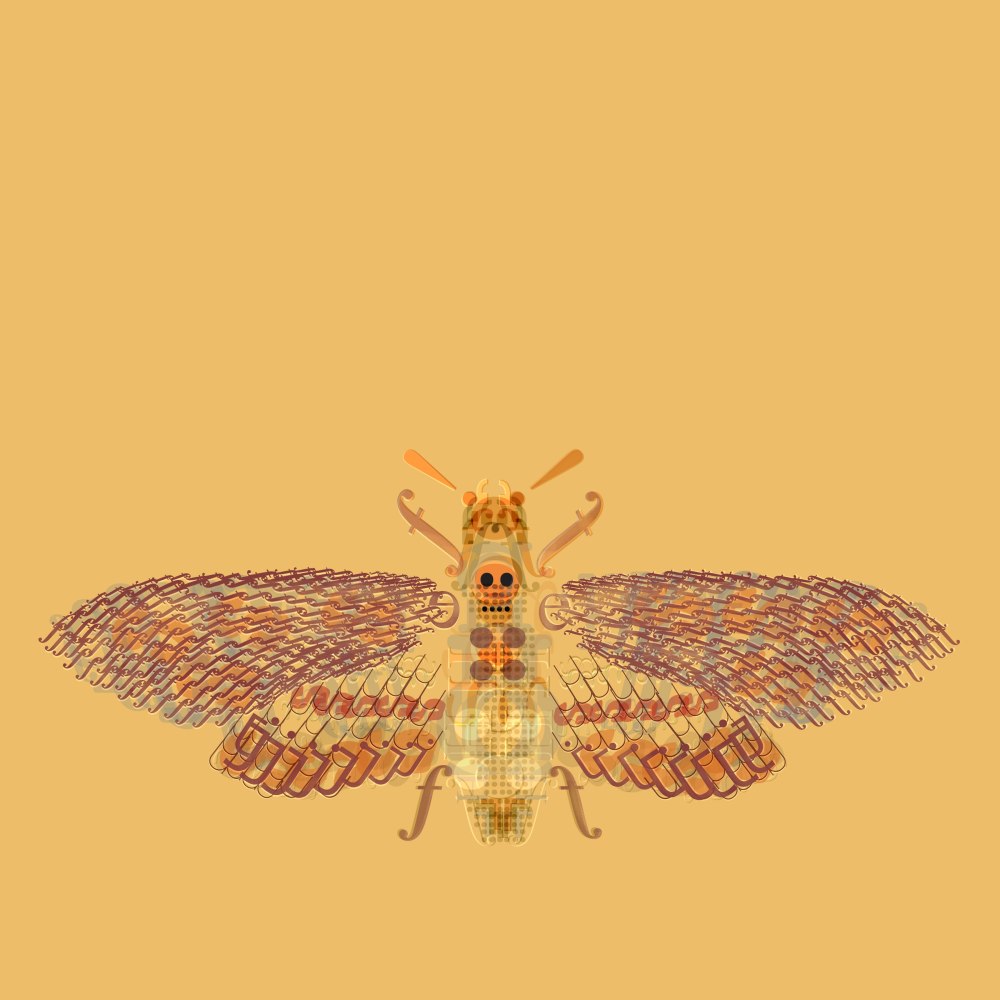 Glyph Moth